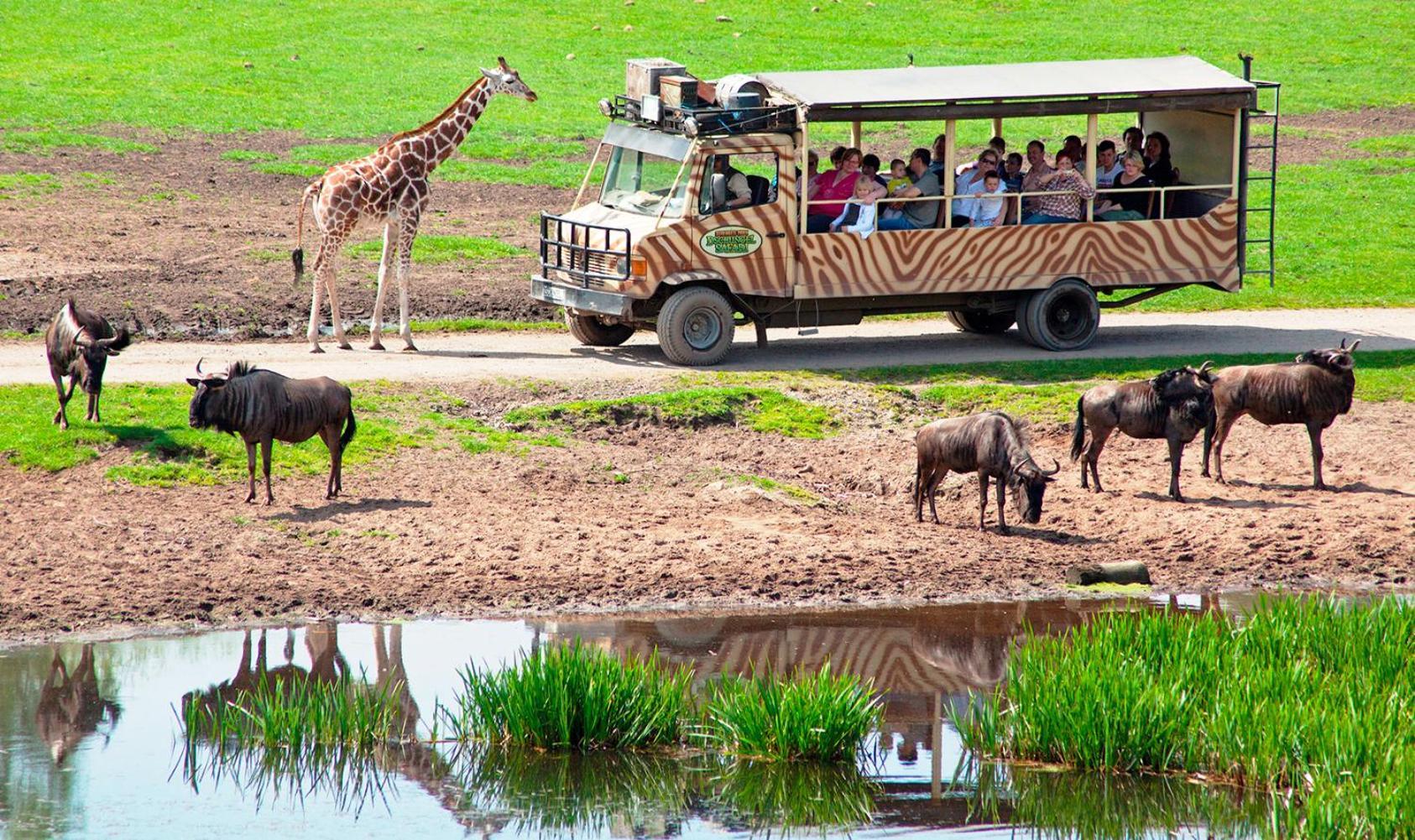 הודנהאגן Serengeti Park Resort מראה חיצוני תמונה